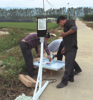 新農村太陽能路燈廠家